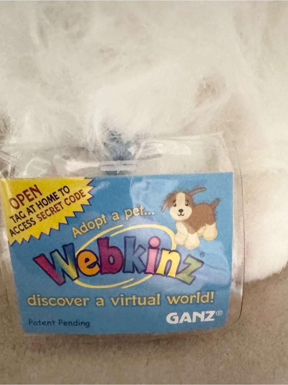 GANZ release date